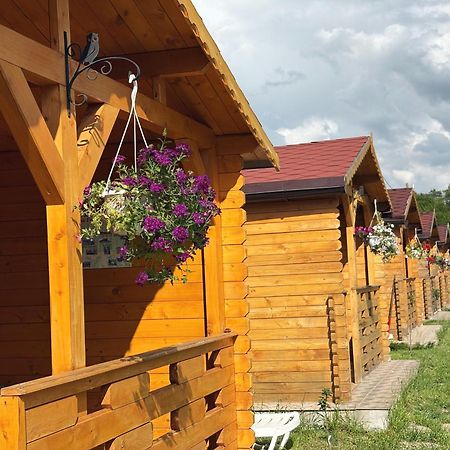 Villa Casa Fericirii à Cîrţişoara Extérieur photo