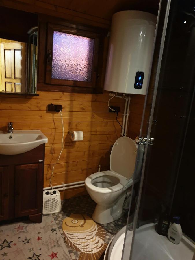 Villa Casa Fericirii à Cîrţişoara Extérieur photo