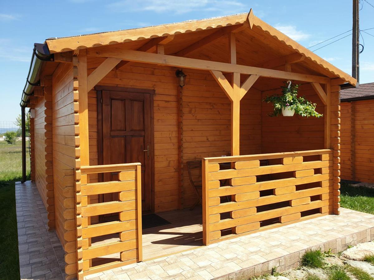 Villa Casa Fericirii à Cîrţişoara Extérieur photo