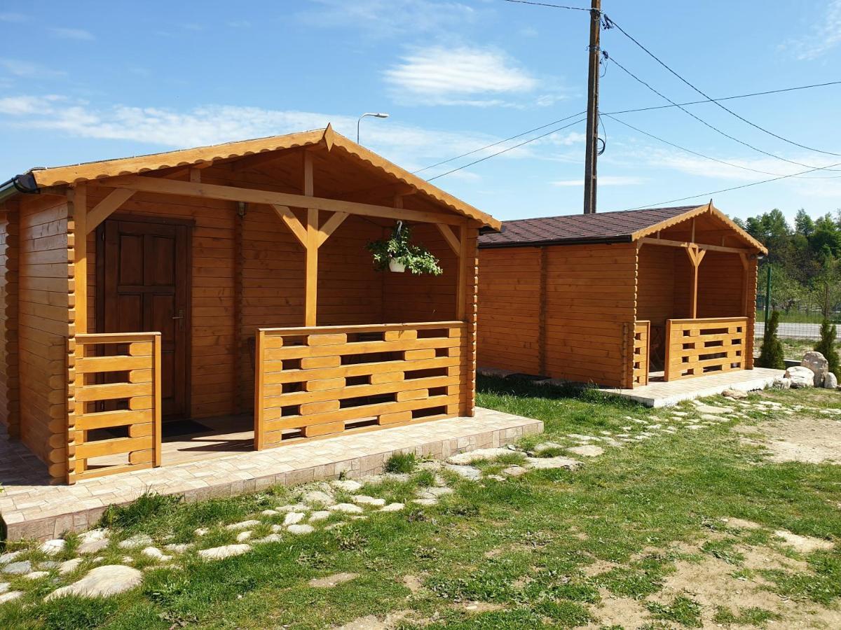Villa Casa Fericirii à Cîrţişoara Extérieur photo