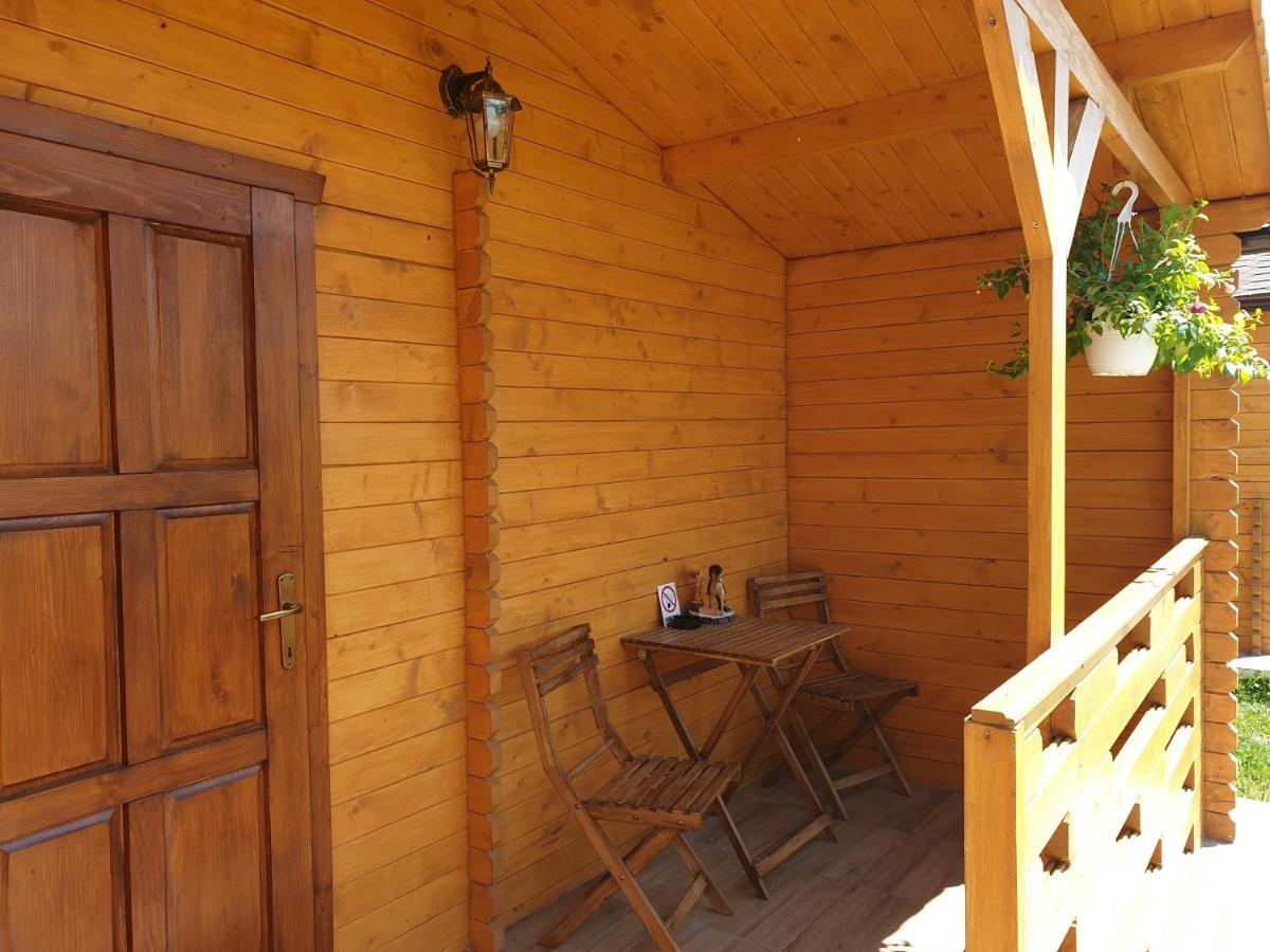 Villa Casa Fericirii à Cîrţişoara Extérieur photo