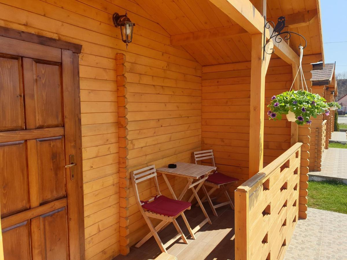 Villa Casa Fericirii à Cîrţişoara Extérieur photo