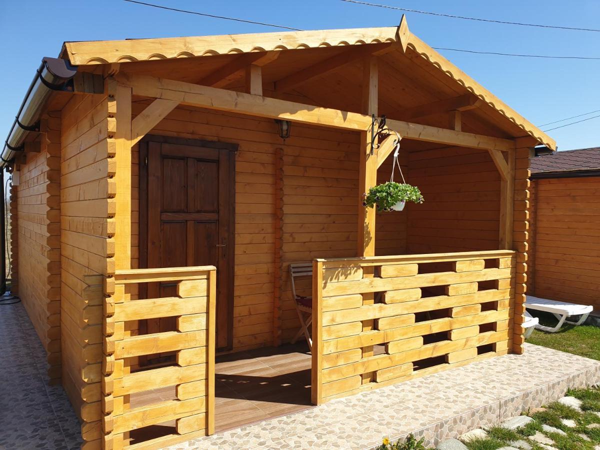 Villa Casa Fericirii à Cîrţişoara Extérieur photo