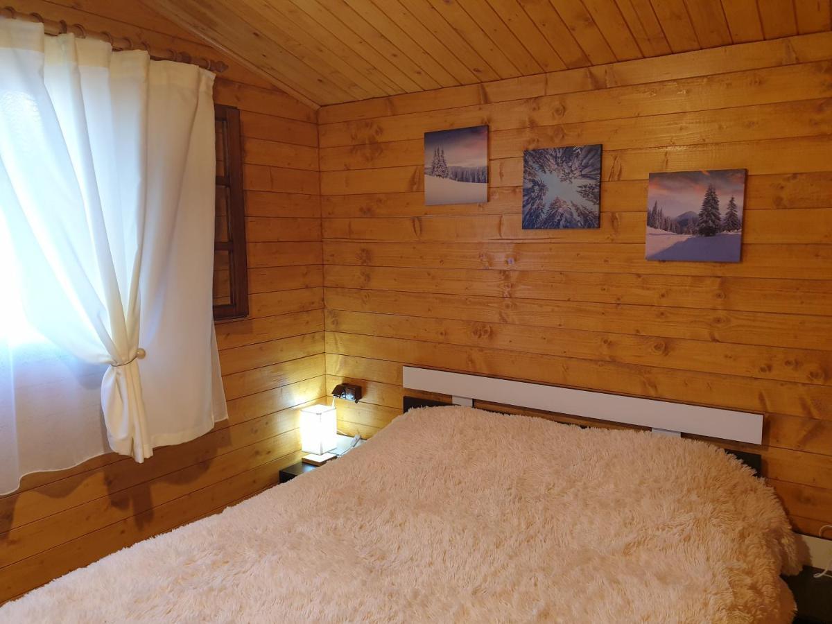 Villa Casa Fericirii à Cîrţişoara Extérieur photo