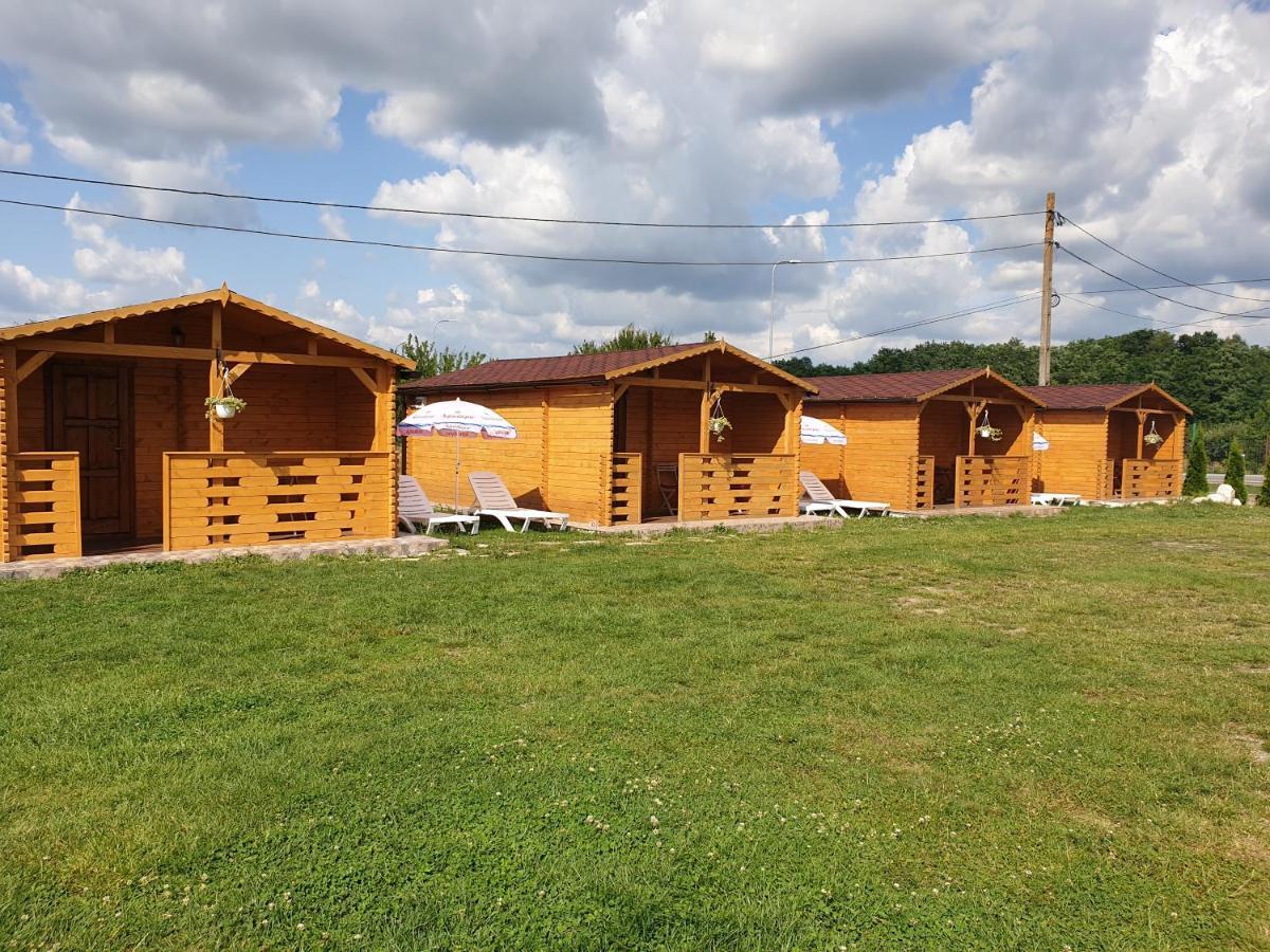 Villa Casa Fericirii à Cîrţişoara Extérieur photo