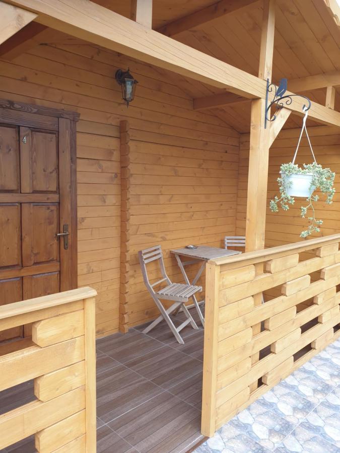 Villa Casa Fericirii à Cîrţişoara Extérieur photo