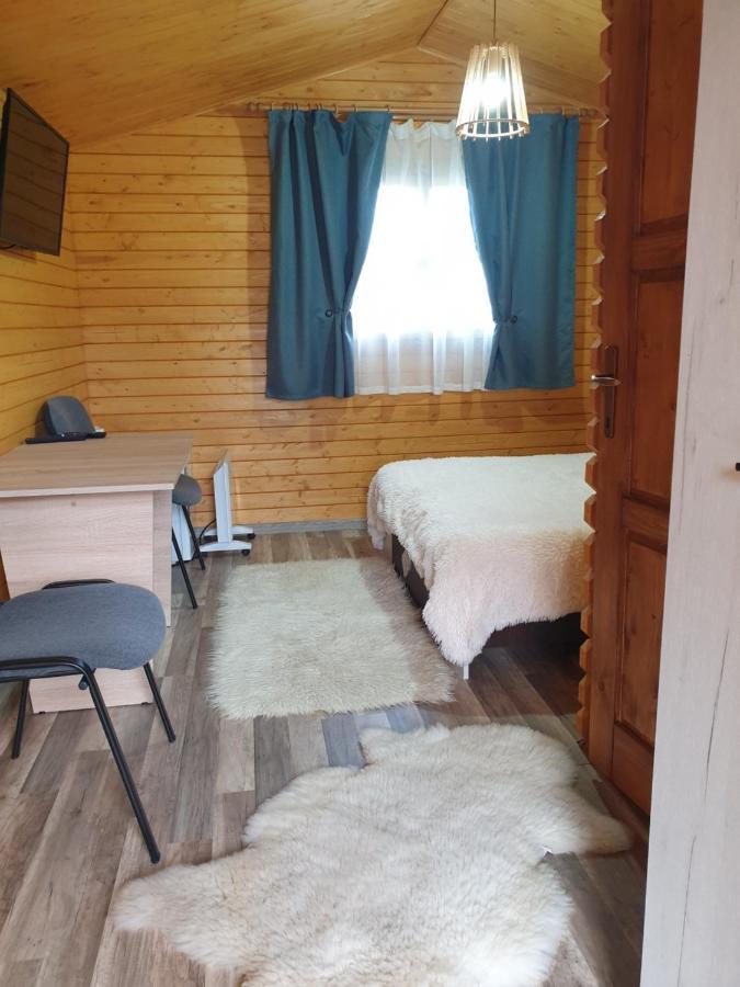 Villa Casa Fericirii à Cîrţişoara Extérieur photo