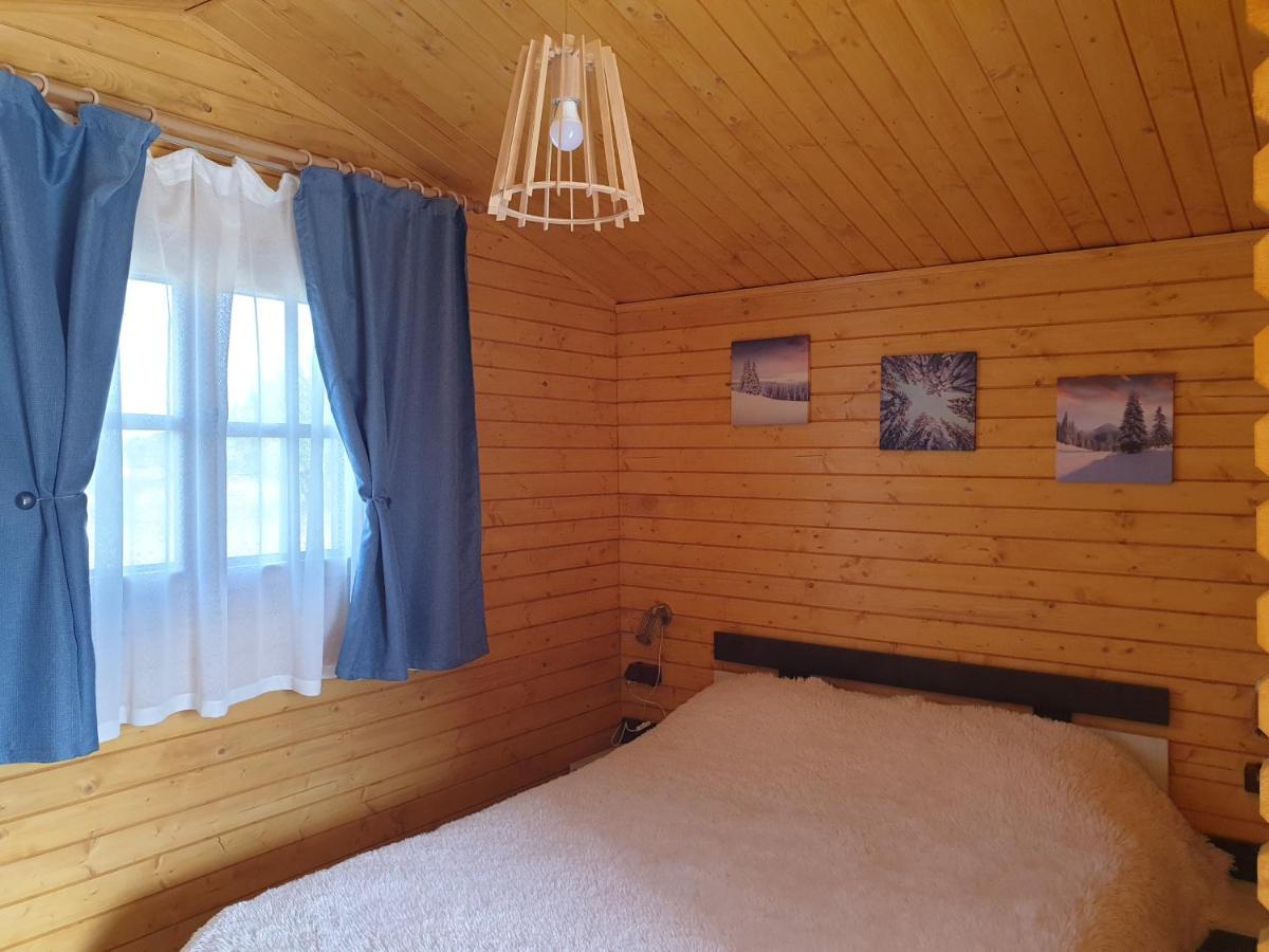 Villa Casa Fericirii à Cîrţişoara Extérieur photo