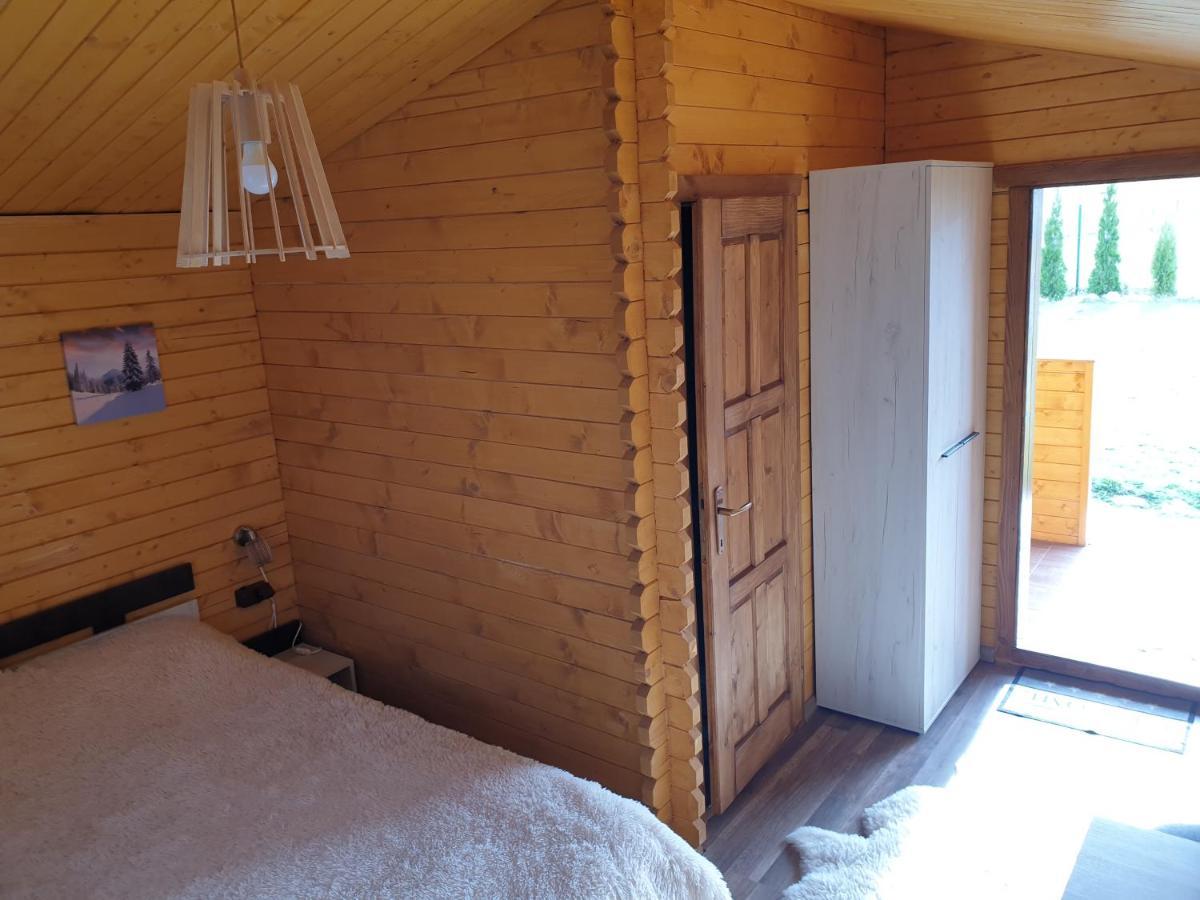 Villa Casa Fericirii à Cîrţişoara Extérieur photo