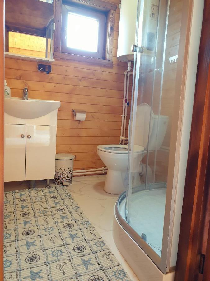 Villa Casa Fericirii à Cîrţişoara Extérieur photo