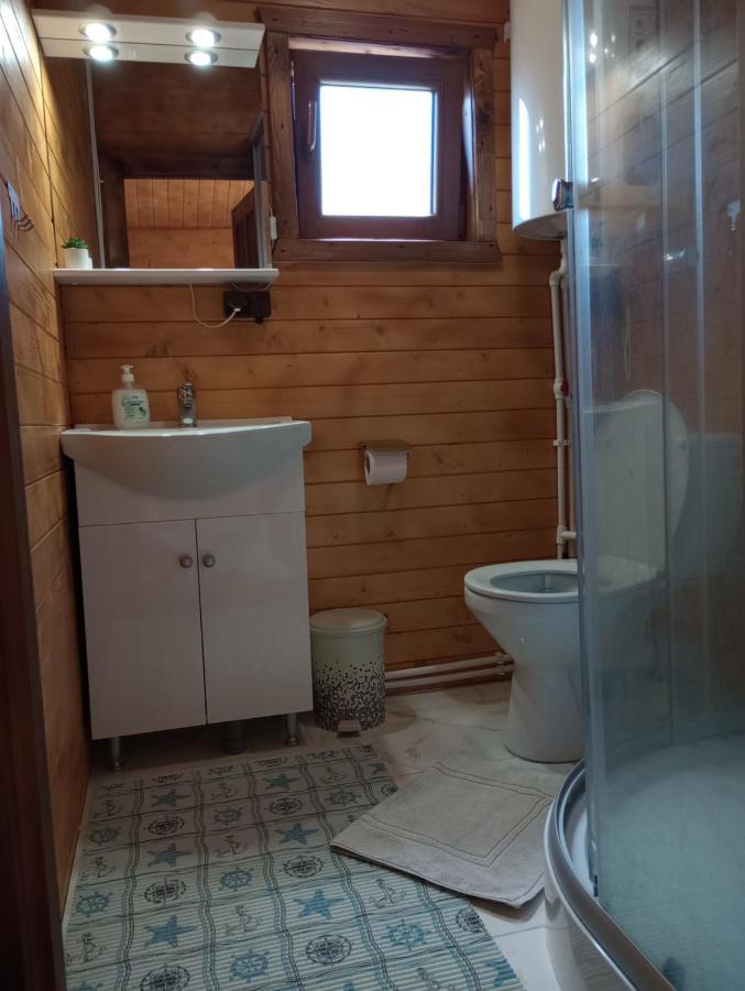 Villa Casa Fericirii à Cîrţişoara Extérieur photo