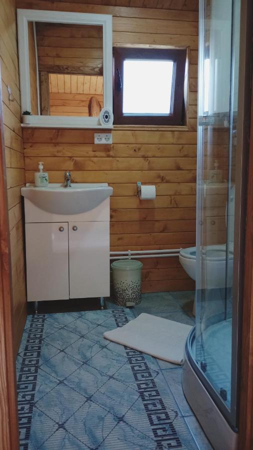 Villa Casa Fericirii à Cîrţişoara Extérieur photo