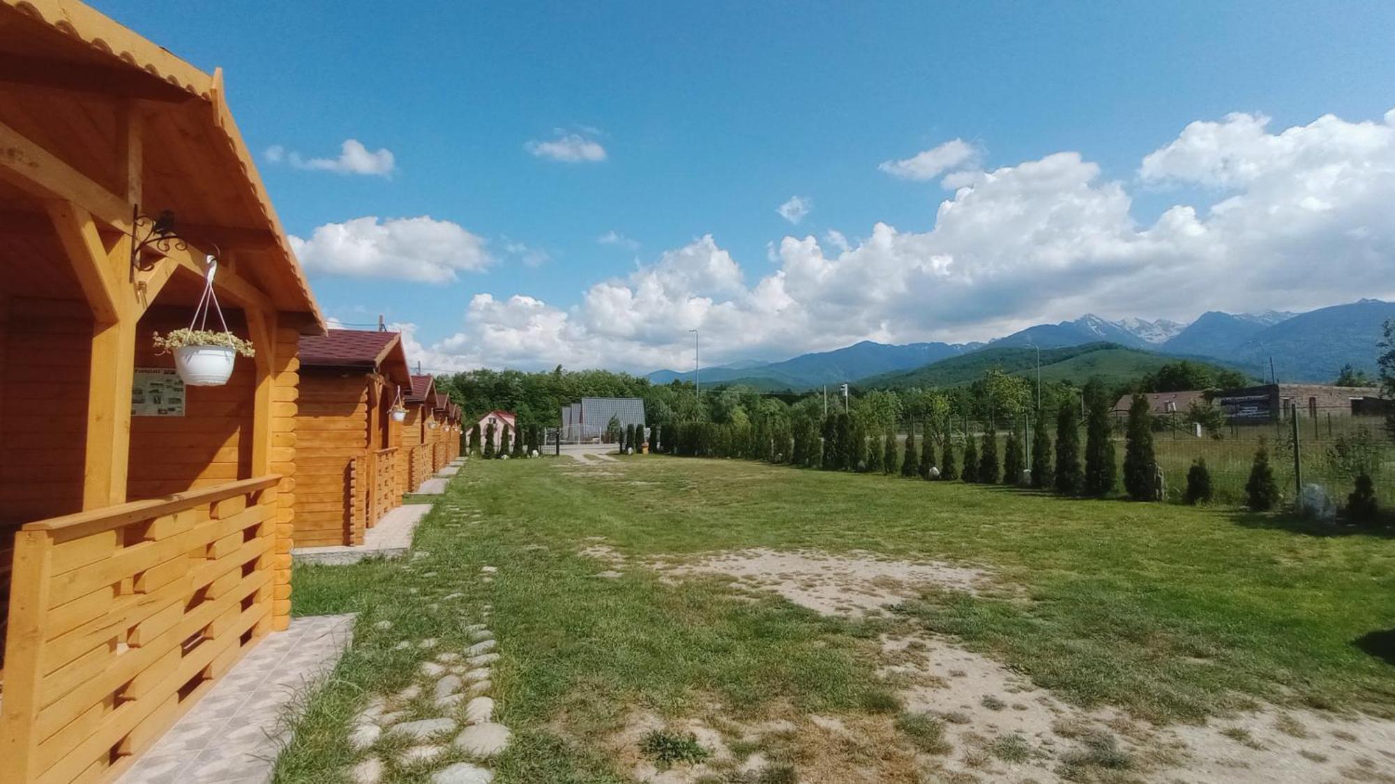 Villa Casa Fericirii à Cîrţişoara Extérieur photo