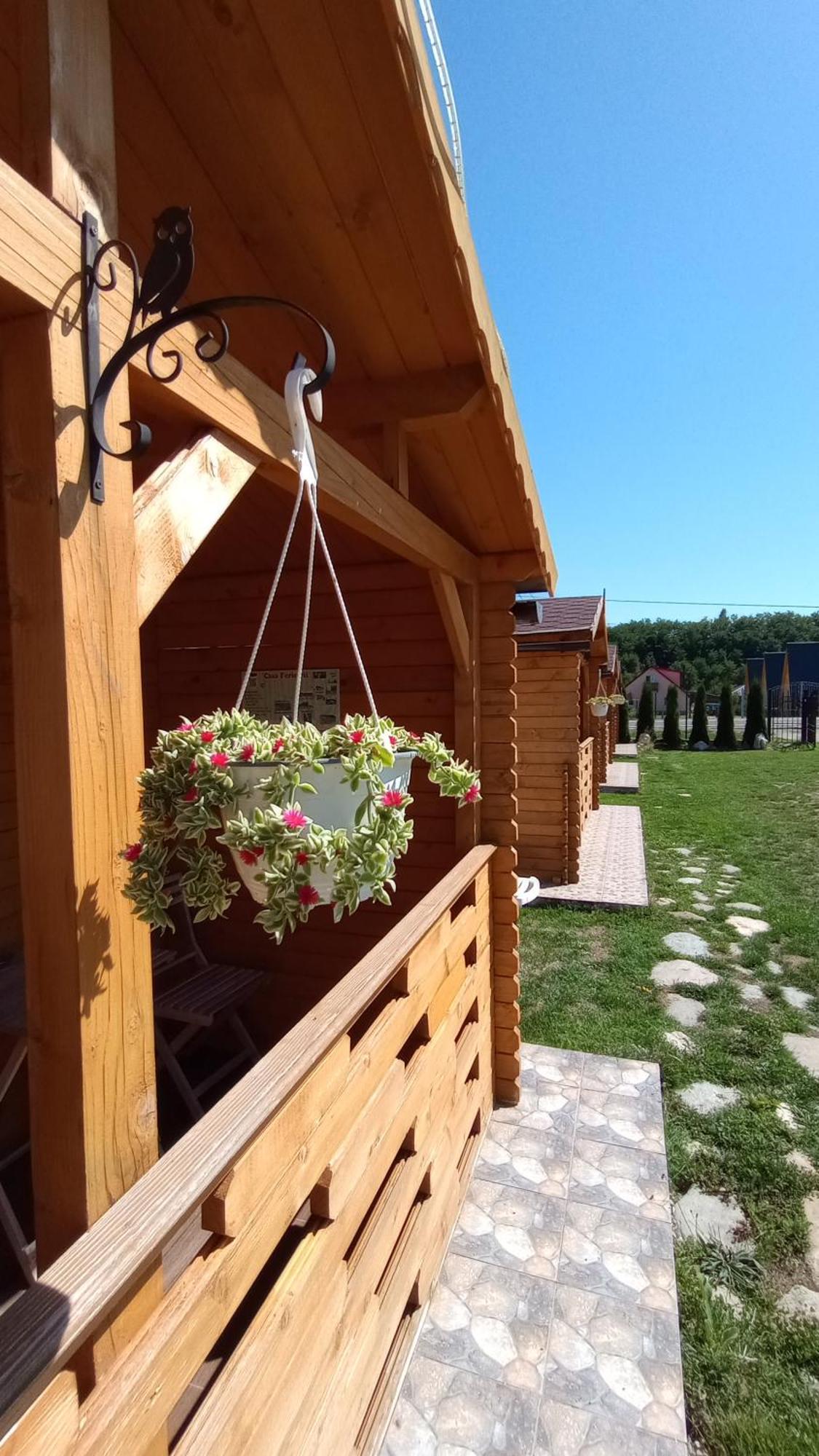 Villa Casa Fericirii à Cîrţişoara Chambre photo