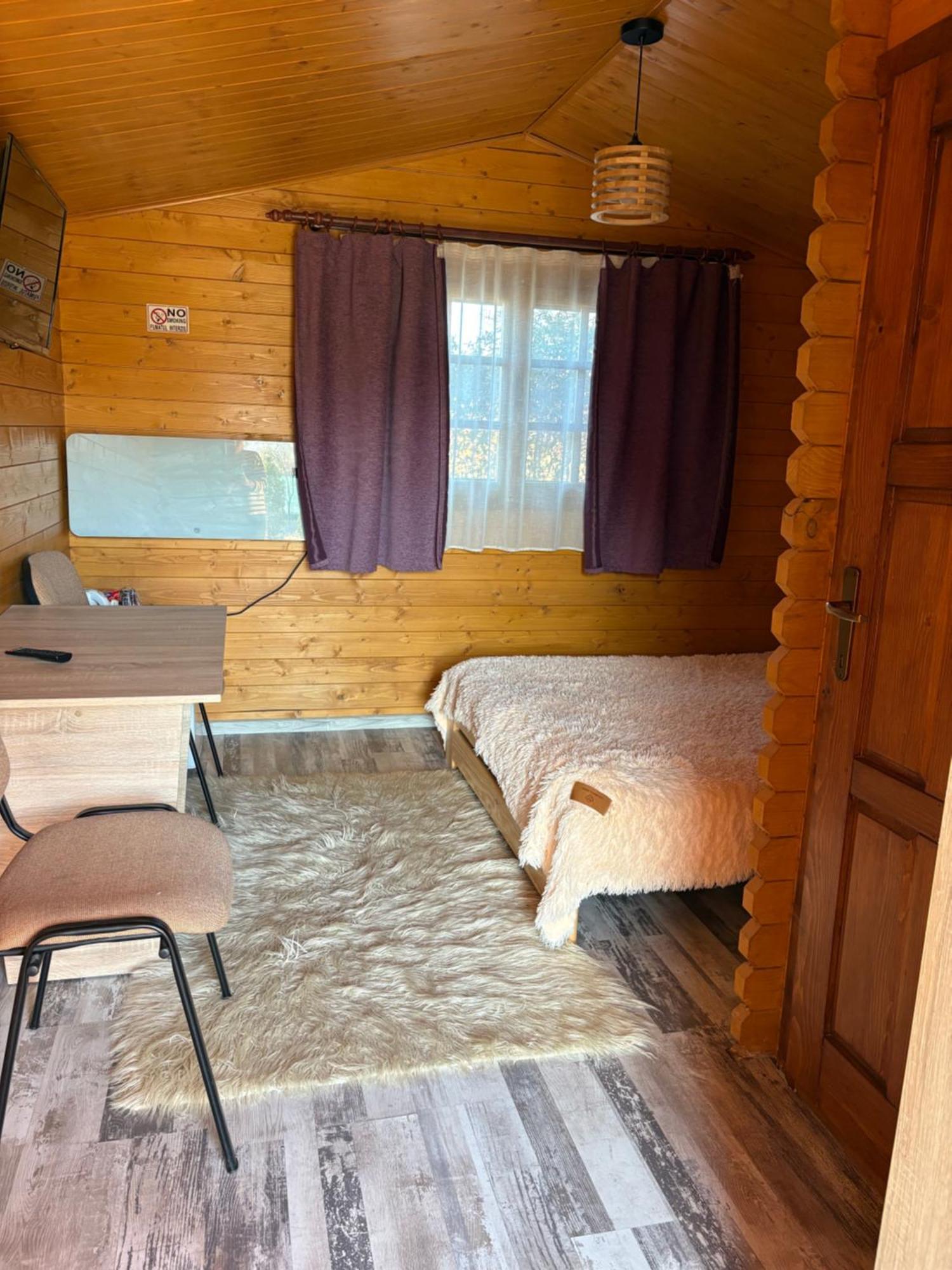 Villa Casa Fericirii à Cîrţişoara Extérieur photo