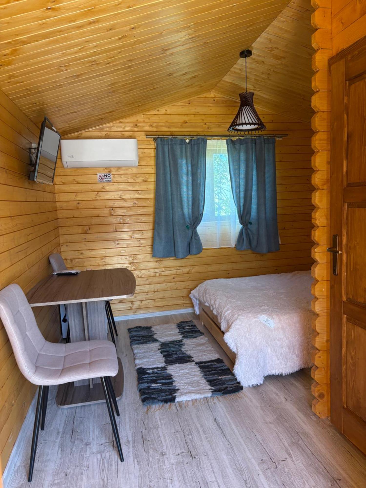 Villa Casa Fericirii à Cîrţişoara Extérieur photo