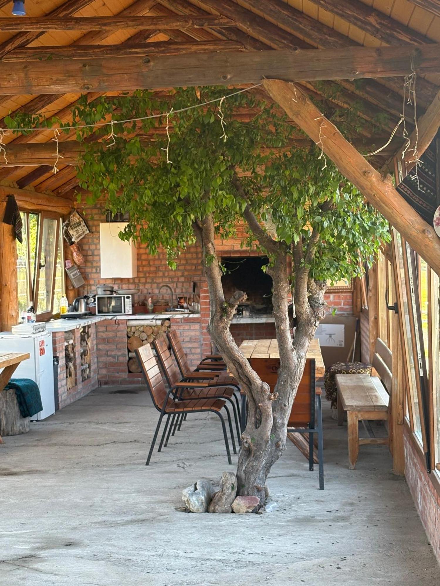 Villa Casa Fericirii à Cîrţişoara Extérieur photo