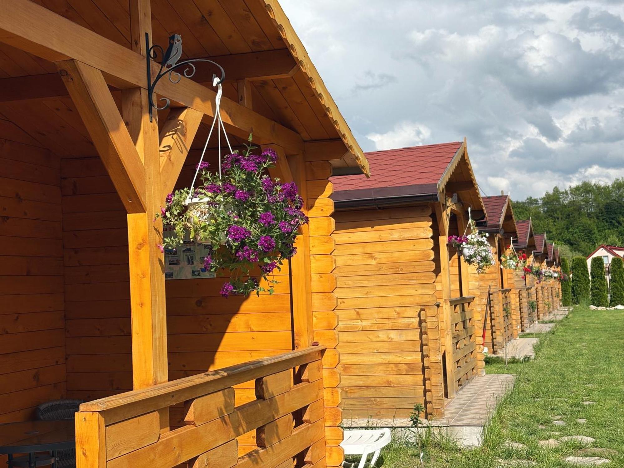 Villa Casa Fericirii à Cîrţişoara Extérieur photo